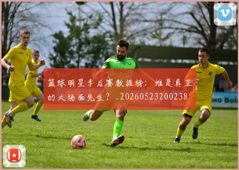 篮球明星季后赛数据榜:谁是真正的大场面先生?_20260523200238